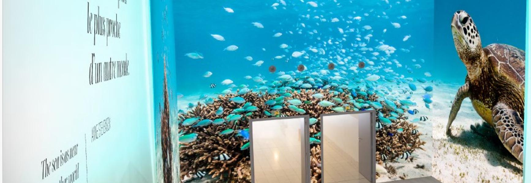 aquarium de nouméa nouvelle-calédonie