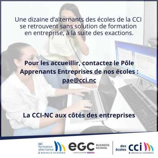 annonce stagiaires cci nc